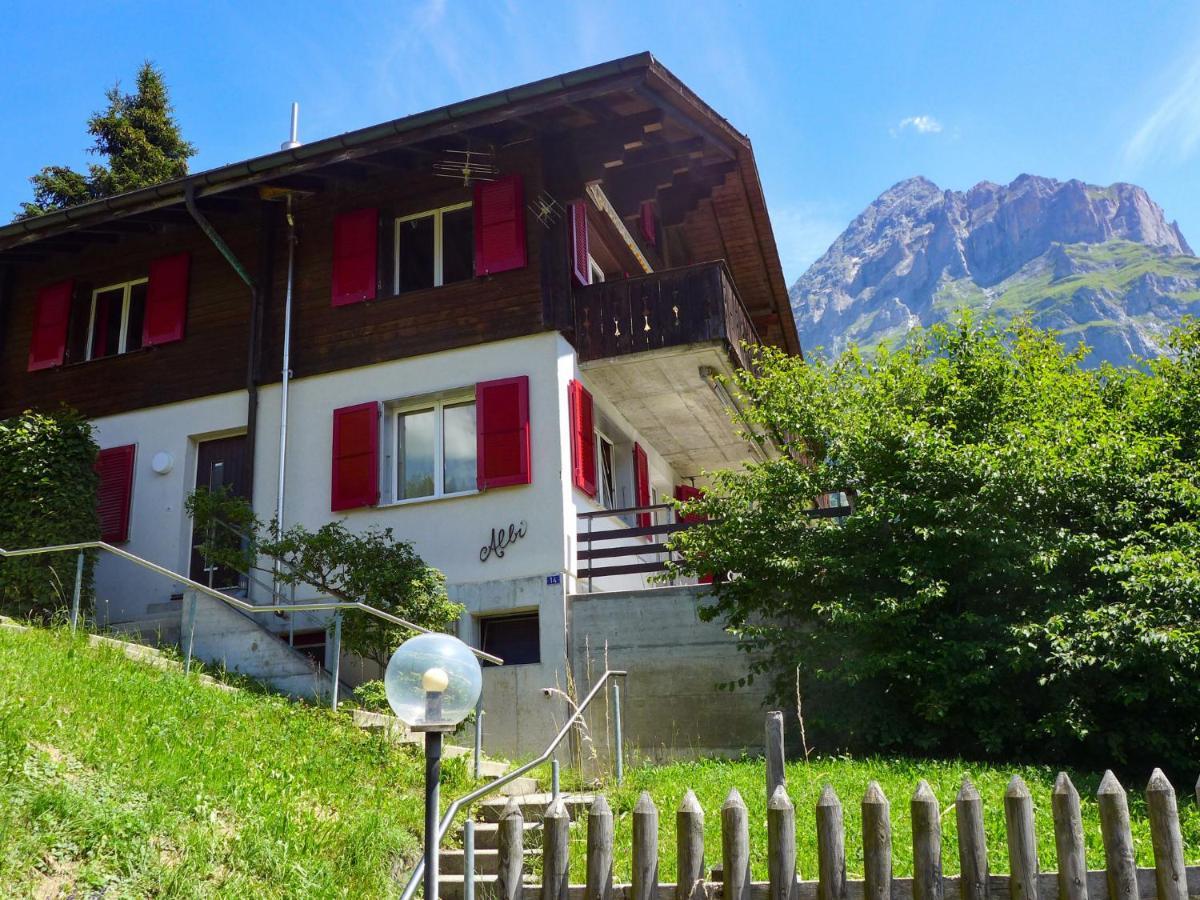 Apartment Chalet Albi By Interhome กรินเดลวัลด์ ภายนอก รูปภาพ